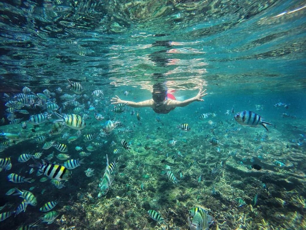 snorkeling di pulau lengkuas Belitung