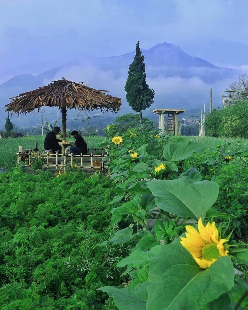 wisata alam di lereng gunung Merapi