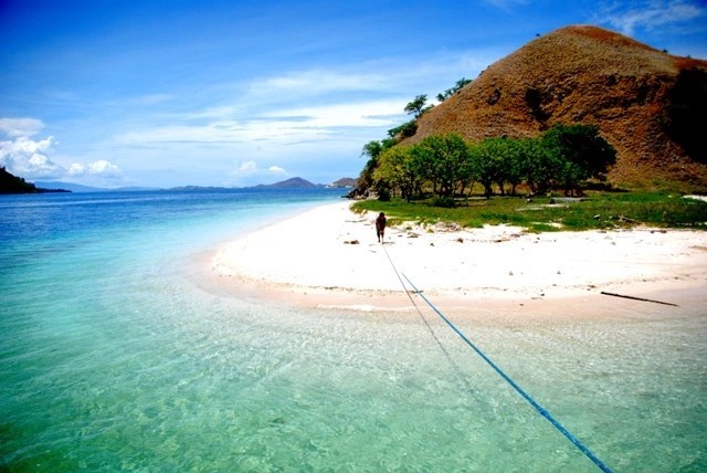 Pulau Kalong