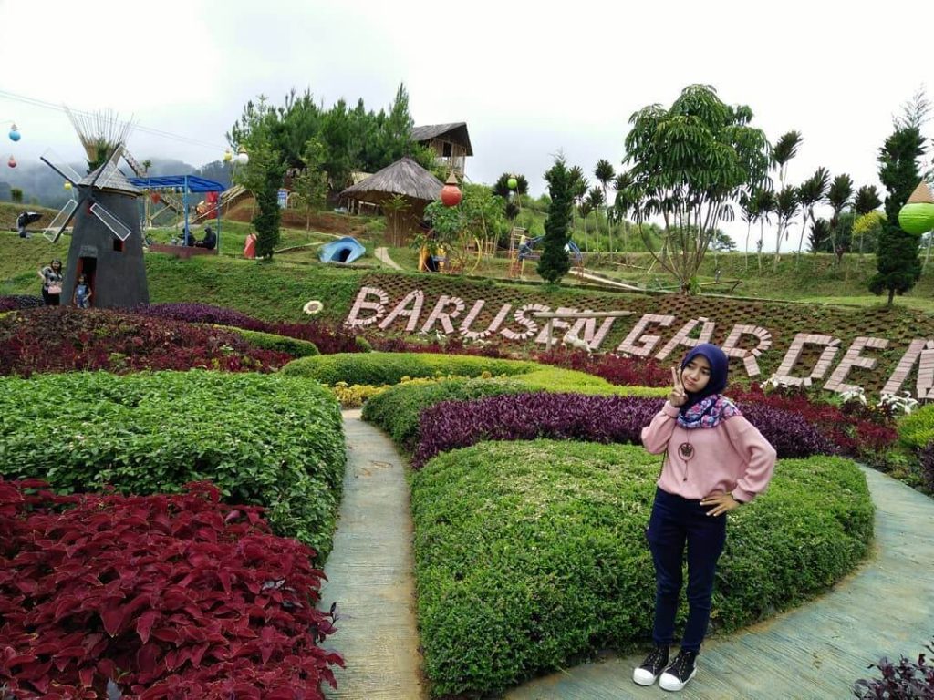 Barusen Hills Gambung Ciwidey