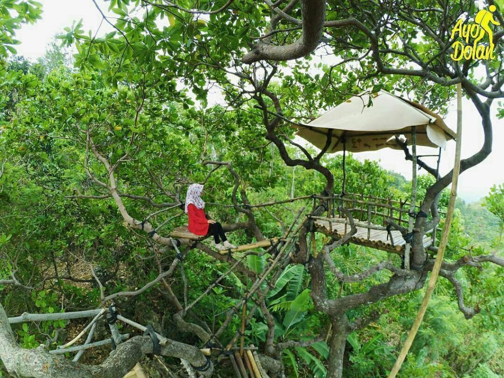 Rumah Pohon Goa Cocor di Kebumen