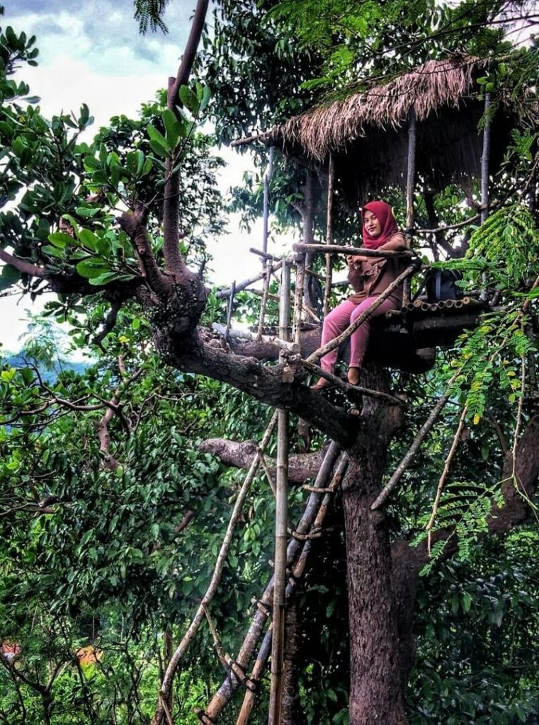 rumah pohon goa Cocor Buayan Kebumen