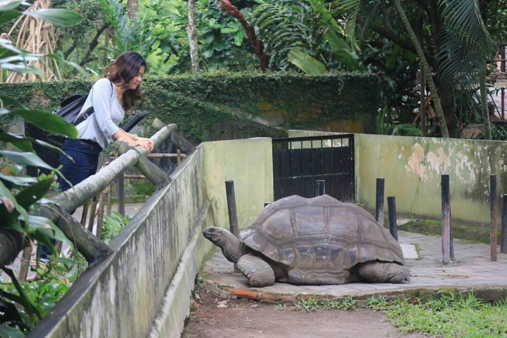 Kebun Binatang Gembira Loka di Yogyakarta