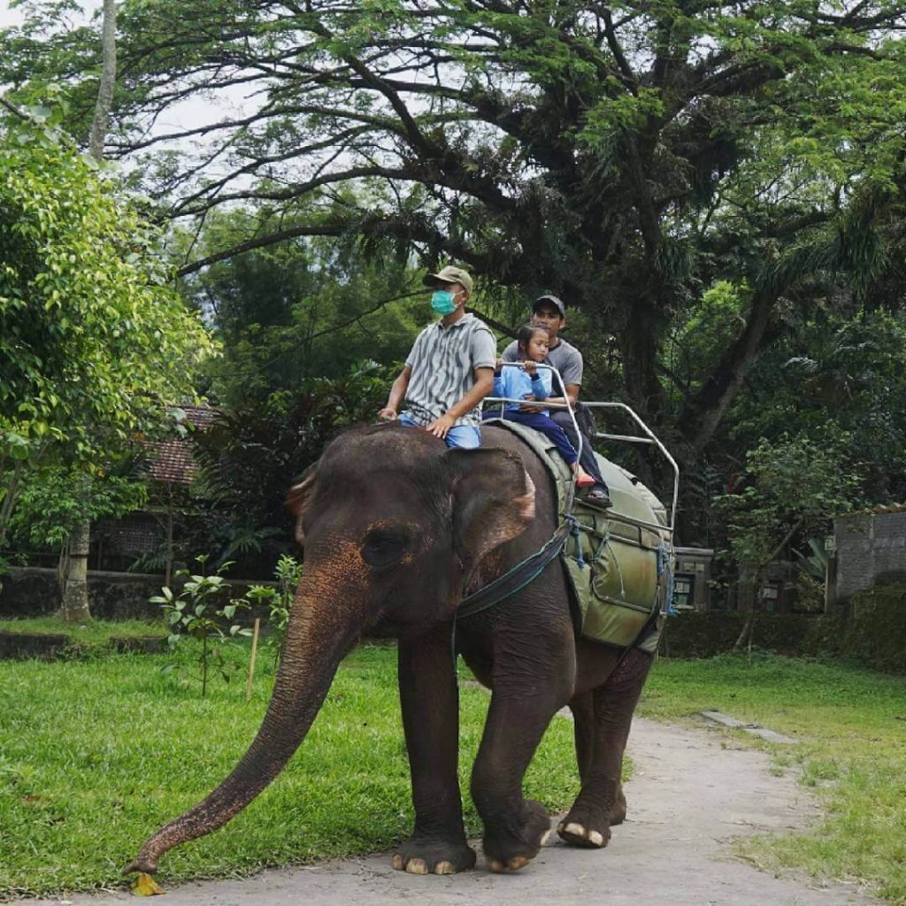 gajah Gembira Loka