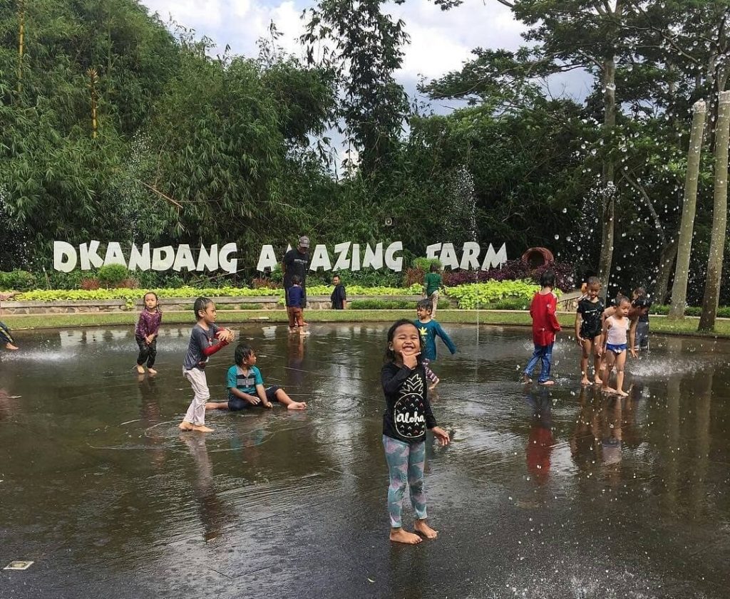 D Kandang Amazing Farm