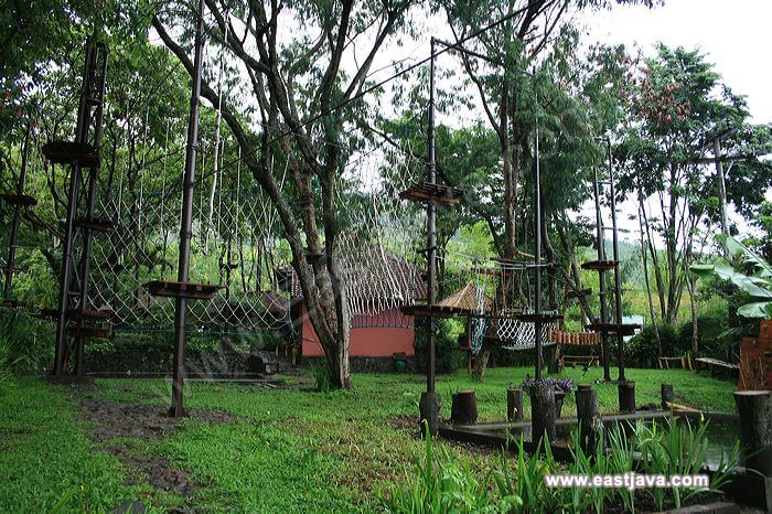 Info Dan Review Outbound Taman Safari Prigen Pasuruan Jawa Timur